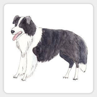 Border collie Fun Sticker